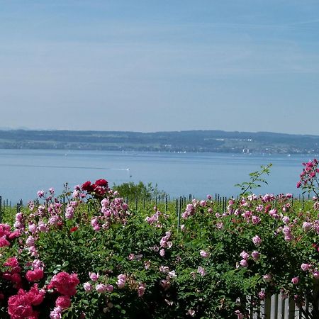 Abc Ferienwohnungen Abc Wohnung A Meersburg Exterior photo